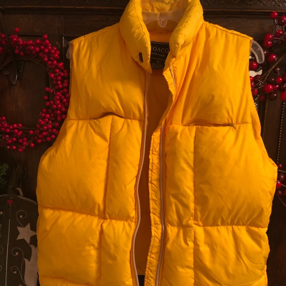 Ski Vest